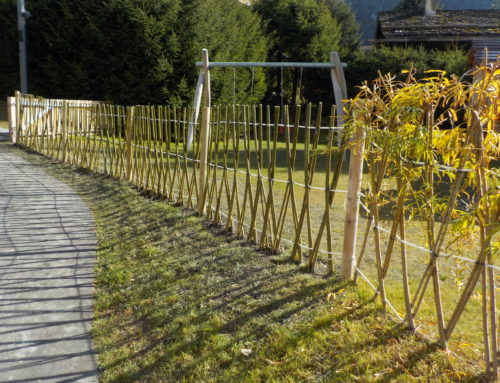Verbier : clôture en saule vivant