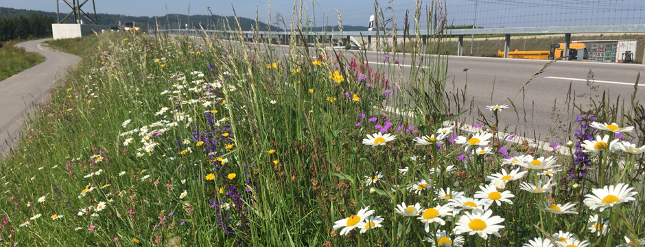 Erosionsschutz Autobahn Nordring Zuerich